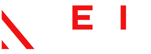 Remic-Fight-Gear-Logo
