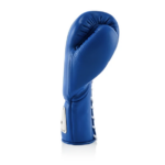 XDF-210_Professional_Fight_Gloves_Blue_Pair_590x